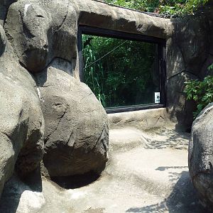 Gombe Forest - Chimpanzee Exhibit