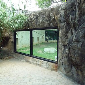 Gombe Forest - Chimpanzee Exhibit