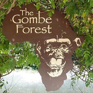 Gombe Forest - Entrance Sign
