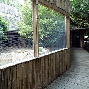Gombe Forest - African Crowned Crane/Spur-Thighed Tortoise Exhibit