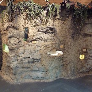 Gombe Forest - Terrariums