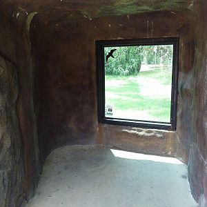 Gombe Forest - Chimpanzee Exhibit