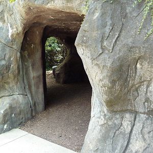 Gombe Forest - Chimpanzee Exhibit - Viewing Cave