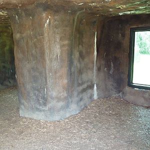 Gombe Forest - Chimpanzee Exhibit - Viewing Cave