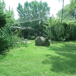 Gombe Forest - Chimpanzee Exhibit