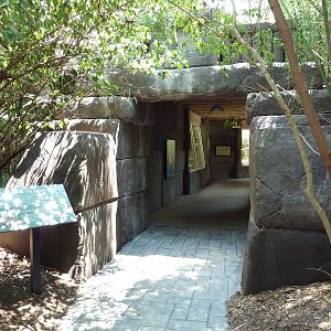 Corcovado Jungle - Entrance