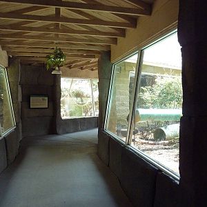 Corcovado Jungle - Spider Monkey + Coati Exhibits