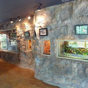 Corcovado Jungle - Terrariums