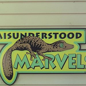 Misunderstood Marvels - Entrance Sign