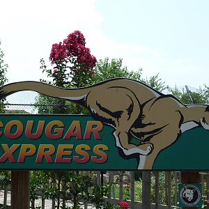 Cougar Exhibit - Sign