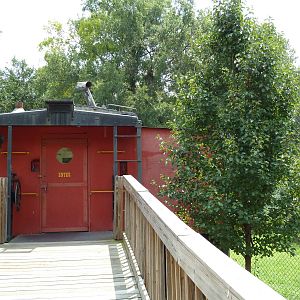 Cougar Exhibit - Viewing Platform