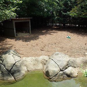 White-Tailed Deer/Wild Turkey Exhibit