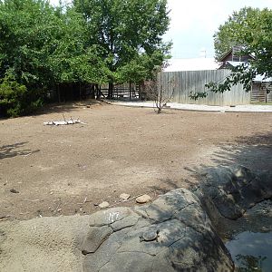 White-Tailed Deer/Wild Turkey Exhibit