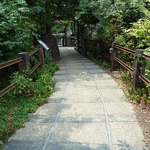 Pathway - Imitation Railroad Tracks