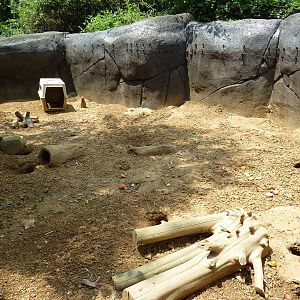 Prairie Dog Exhibit