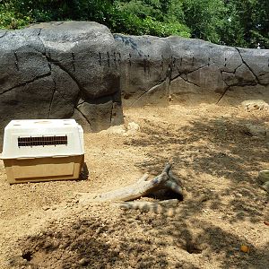 Prairie Dog Exhibit