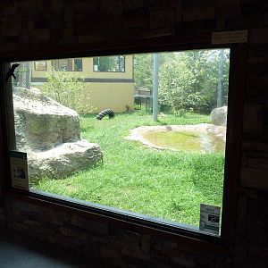 Himalayan Passage - Snow Leopard Exhibit