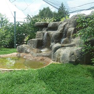 Himalayan Passage - Snow Leopard Exhibit