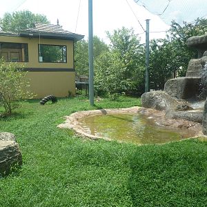 Himalayan Passage - Snow Leopard Exhibit