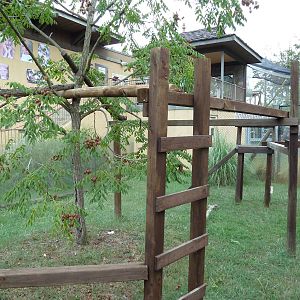 Himalayan Passage - Red Panda Exhibit
