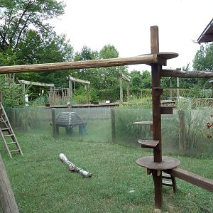 Himalayan Passage - Red Panda Exhibit