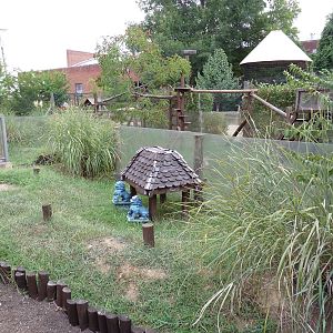 Himalayan Passage - Indian Star Tortoise Exhibit