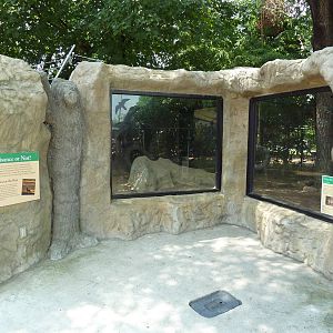 Coyote Exhibit