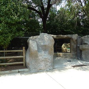 Coyote Exhibit