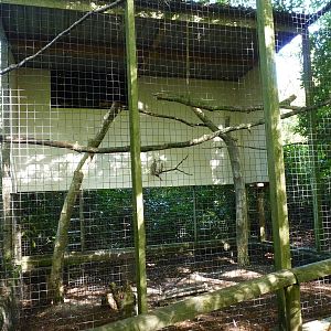 Refurbed Barn Owl Aviary