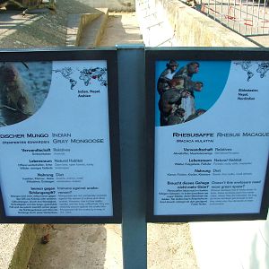 Signage Example at Heidelberg, 05/09/10