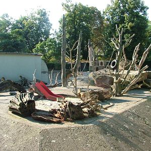 Macaque and Mongoose Exhibit at Heidelberg, 05/09/10