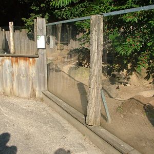 Prairie Marmot Exhibit at Heidelberg, 05/09/10