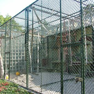 Monkey House cages at Heidelberg, 05/09/10
