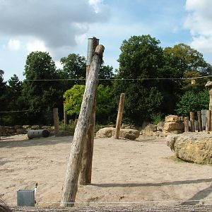 Elephant Paddock at Heidelberg, 05/09/10