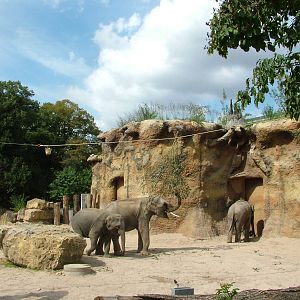 Elephant House and Paddock at Heidelberg, 05/09/10