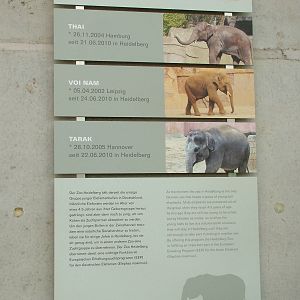 Elephant Signage at Heidelberg, 05/09/10