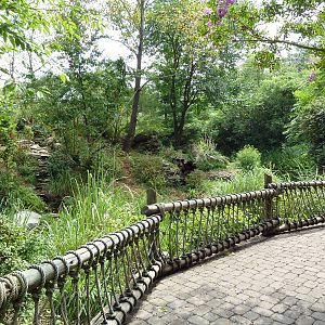 Gibbon Islands - White-Cheeked + Siamang