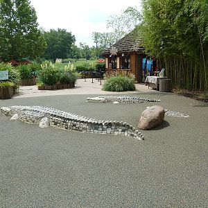 Jungle Gym - Entrance