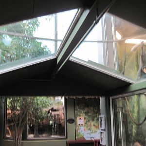 Tropics-White-cheeked Gibbon Exhibit