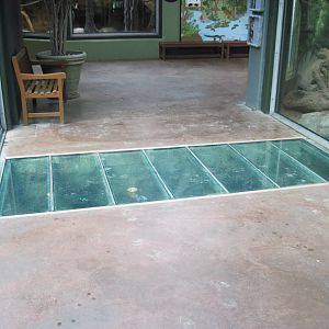 Tropics-Asian Small-clawed Otter Exhibit