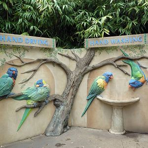 Lorikeet Landing - Hand Washing Station
