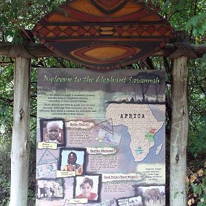African Savannah - Sign