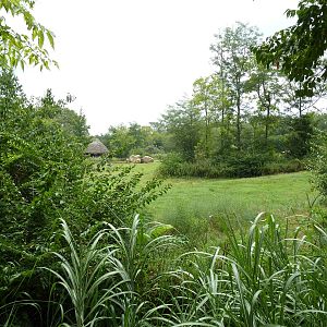 3-Acre African Elephant Exhibit