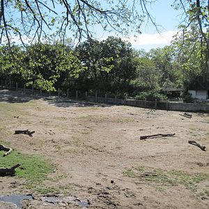 Africa-African Elephant Exhibit