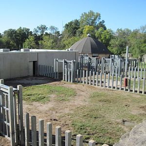 Africa-African Elephant Exhibit