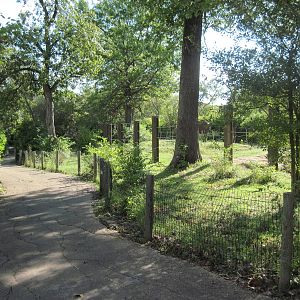 Africa-African Elephant Exhibit