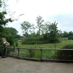 3-Acre African Elephant Exhibit