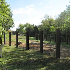 Africa-African Elephant Exhibit