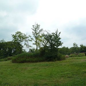 3-Acre African Elephant Exhibit