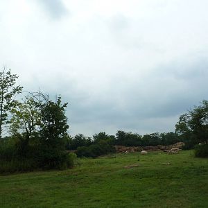 3-Acre African Elephant Exhibit